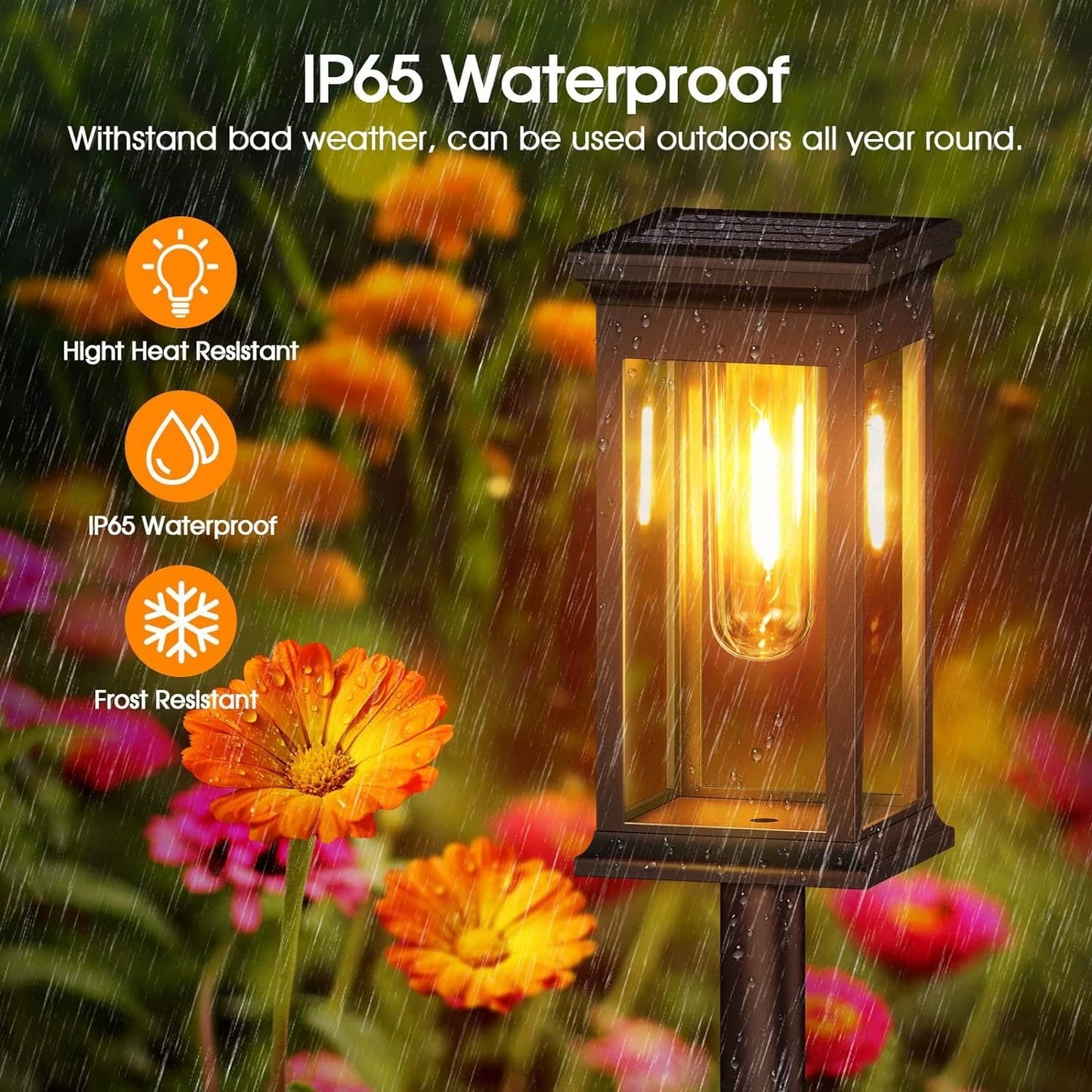 ✨Solar Pathway Lights Outdoor
