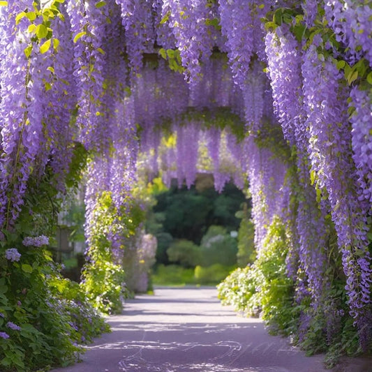 🌸WISTERIA - THE GARDEN’S CASCADING BEAUTY ALL YEAR ROUND